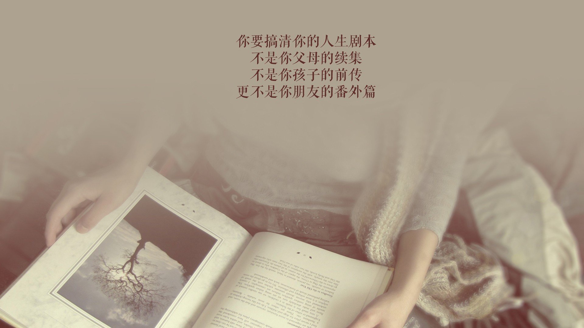 2026 欧会杯决赛战术拆解:小球队在欧洲赛场的极致生存哲学,欧会杯ds